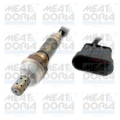 Oxygen Sensor